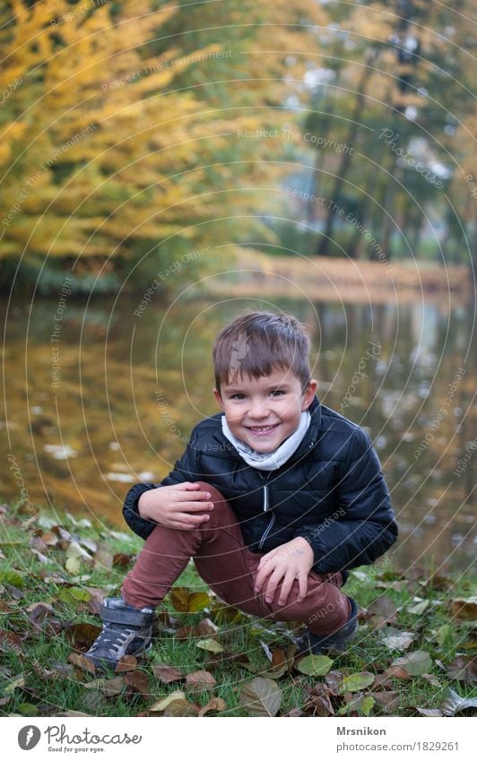 hello Mensch Kleinkind Junge Kindheit 1 3-8 Jahre Schönes Wetter Park schön lustig Herbst herbstlich Oktober Seeufer Herbstlaub Blatt Wiese hocken sitzen knien