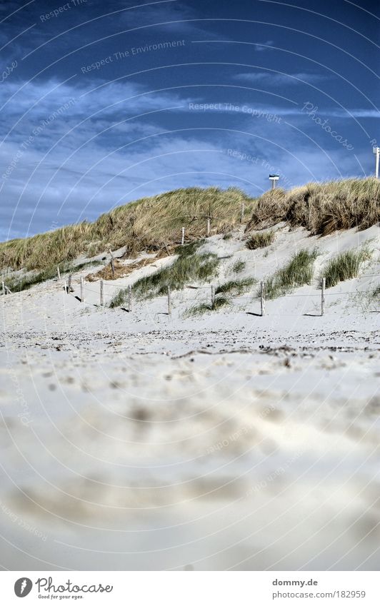 op de duinen Farbfoto Außenaufnahme Menschenleer Tag Schatten Kontrast Starke Tiefenschärfe Froschperspektive Tourismus Ferne Freiheit Sommer Sommerurlaub Natur