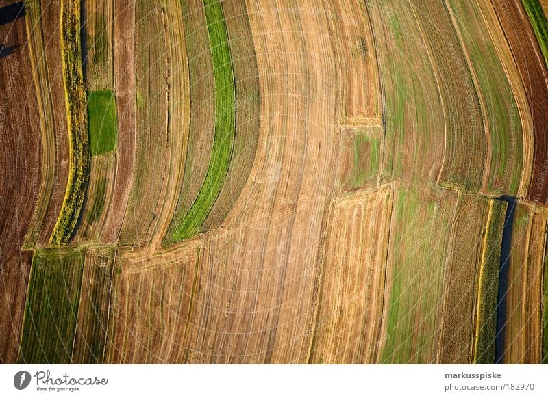 herbst-erd-farben Menschenleer Umwelt Natur Landschaft Pflanze Urelemente Erde Luft Herbst Klima Wetter Schönes Wetter Gras Sträucher Moos Grünpflanze