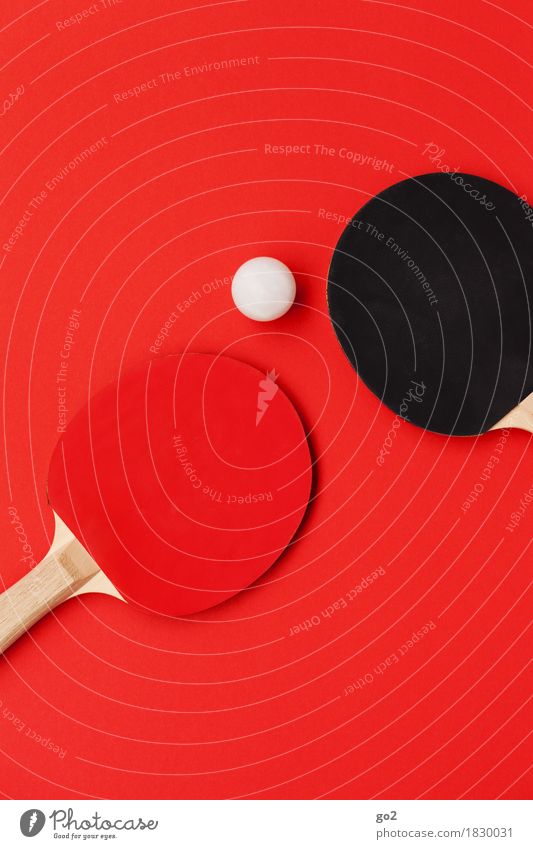 Ping + Pong sportlich Freizeit & Hobby Spielen Sport Ballsport Tischtennis Sportveranstaltung Tischtennisball Tischtennisschläger rund rot schwarz weiß Bewegung