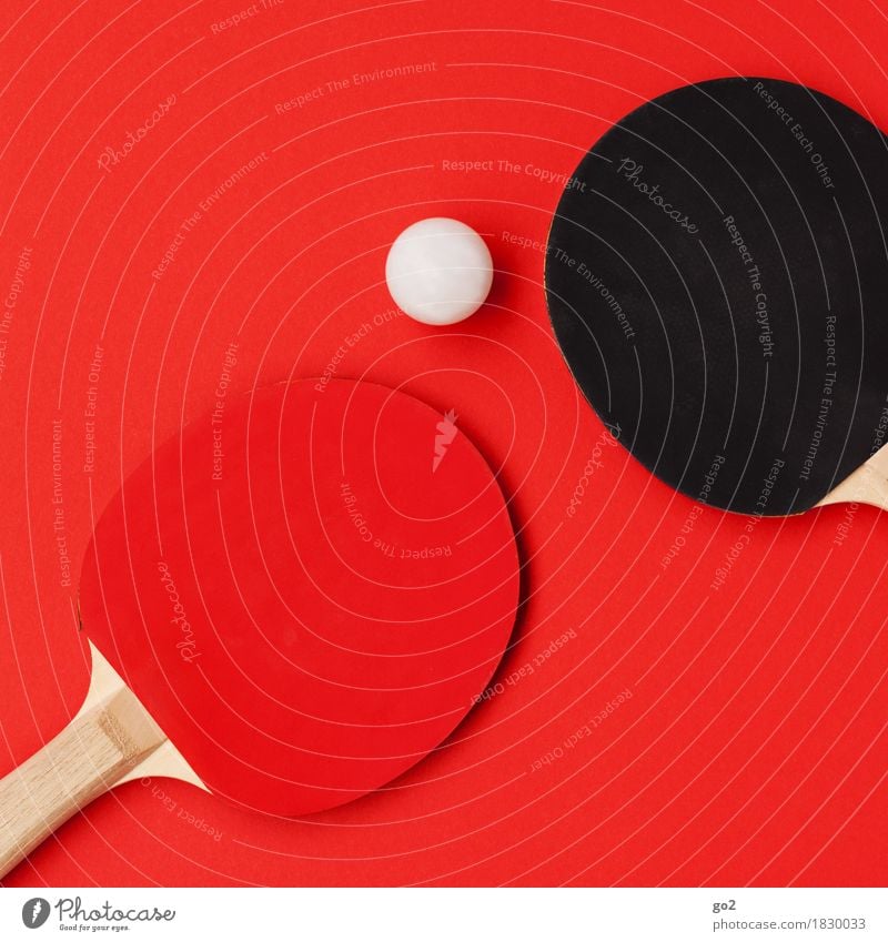 Tischtennis sportlich Freizeit & Hobby Spielen Sport Ballsport Sportveranstaltung Tischtennisball Tischtennisschläger rund rot schwarz weiß Bewegung Freude