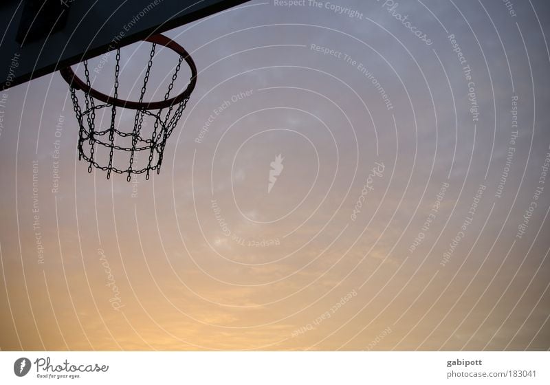 Der große Wurf Gedeckte Farben Außenaufnahme Menschenleer Abend Dämmerung Silhouette Sonnenaufgang Sonnenuntergang Gegenlicht Froschperspektive Freizeit & Hobby