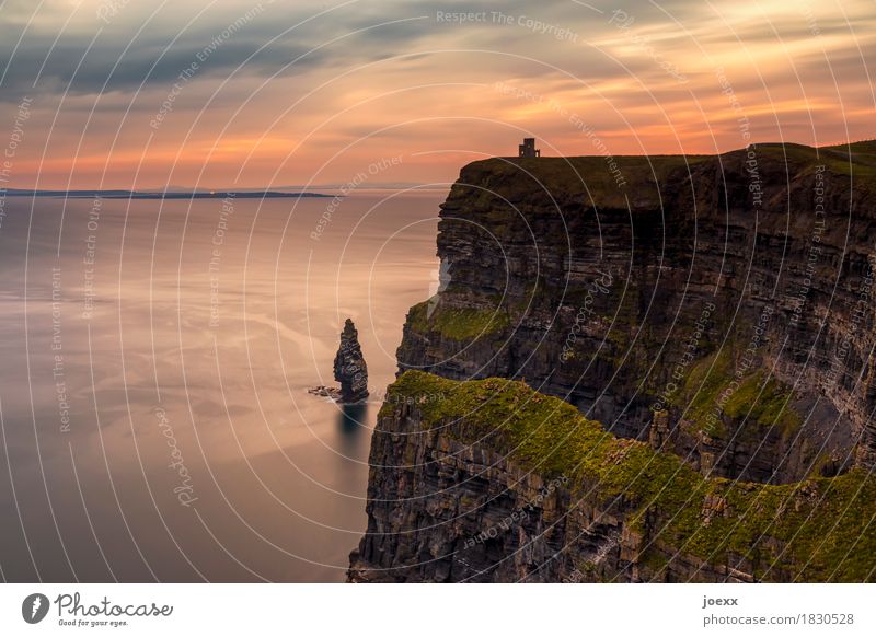 Cliffs of Moher Landschaft Himmel Wolken Sonnenaufgang Sonnenuntergang Sommer Schönes Wetter Felsen Küste Meer Klippe groß hoch oben braun grün orange ruhig