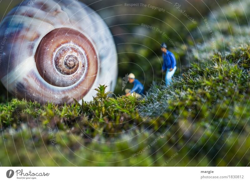 Miniwelten - Jemand zu Hause? Mensch maskulin Mann Erwachsene 2 Pflanze Gras Tier Schnecke 1 blau grün Schneckenhaus Spirale Besucher anklopfen Miniatur Figur