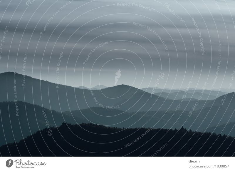 teils wolkig Umwelt Natur Landschaft Urelemente Erde Luft Himmel Wolken Klima Wetter schlechtes Wetter Regen Wald Pfälzerwald dunkel natürlich Farbfoto