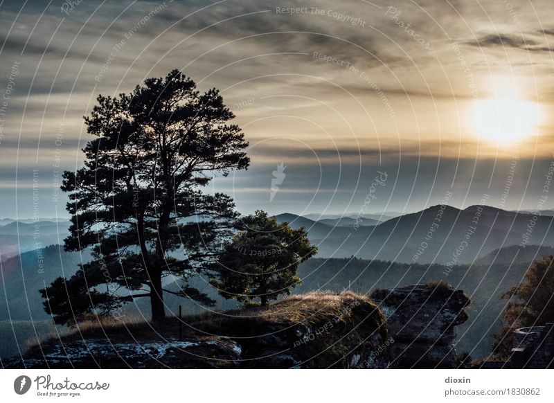 aussichtsreich [3] Ferien & Urlaub & Reisen Ausflug Ferne Umwelt Natur Landschaft Pflanze Himmel Wolken Sonne Sonnenaufgang Sonnenuntergang Sonnenlicht Baum