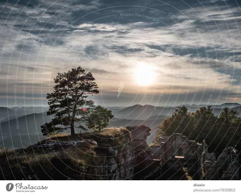 aus­sichts­reich [1] Ausflug Ferne Umwelt Landschaft Pflanze Himmel Wolken Sonne Sonnenaufgang Sonnenuntergang Sonnenlicht Baum Wald Berge u. Gebirge