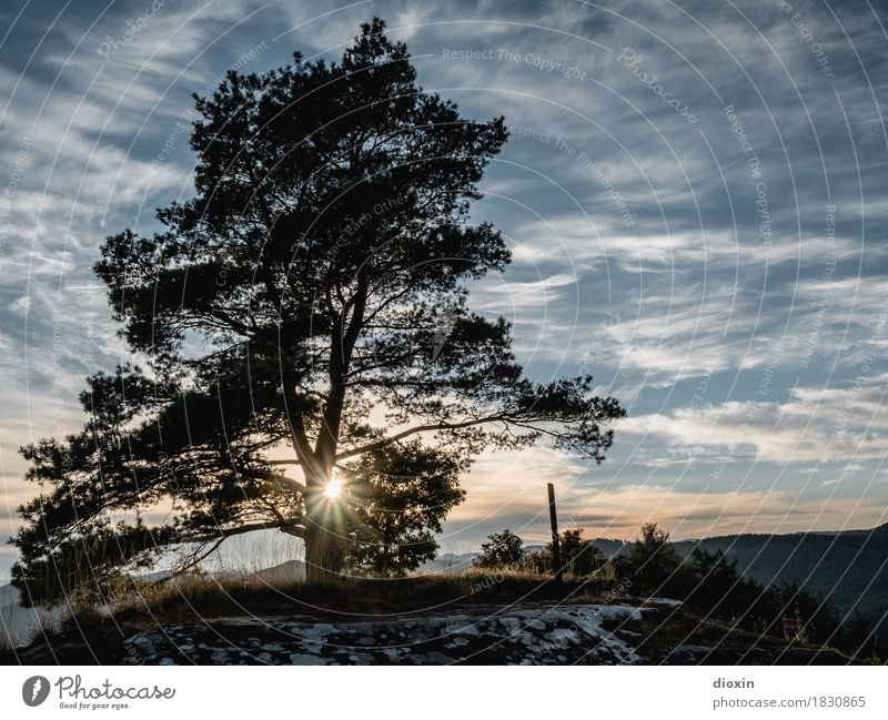 aussichtsreich [4] Ausflug Ferne Freiheit wandern Umwelt Natur Landschaft Pflanze Urelemente Erde Luft Himmel Wolken Sonne Sonnenaufgang Sonnenuntergang