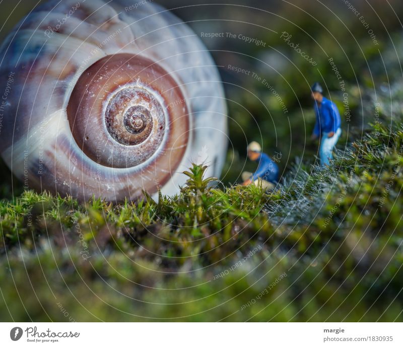 Miniwelten - Hallo? Handwerker Dienstleistungsgewerbe Baustelle Mensch maskulin Mann Erwachsene 2 Pflanze Gras Moos Grünpflanze Schnecke 1 Tier blau grün