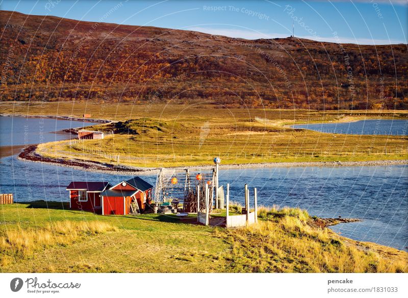 fisker fritz fisket fersk fisk Natur Landschaft Frühling Fjord Hütte Identität Idylle Norwegen Fischer Fischerhütte Fischereiwirtschaft nordisch Fischernetz rot