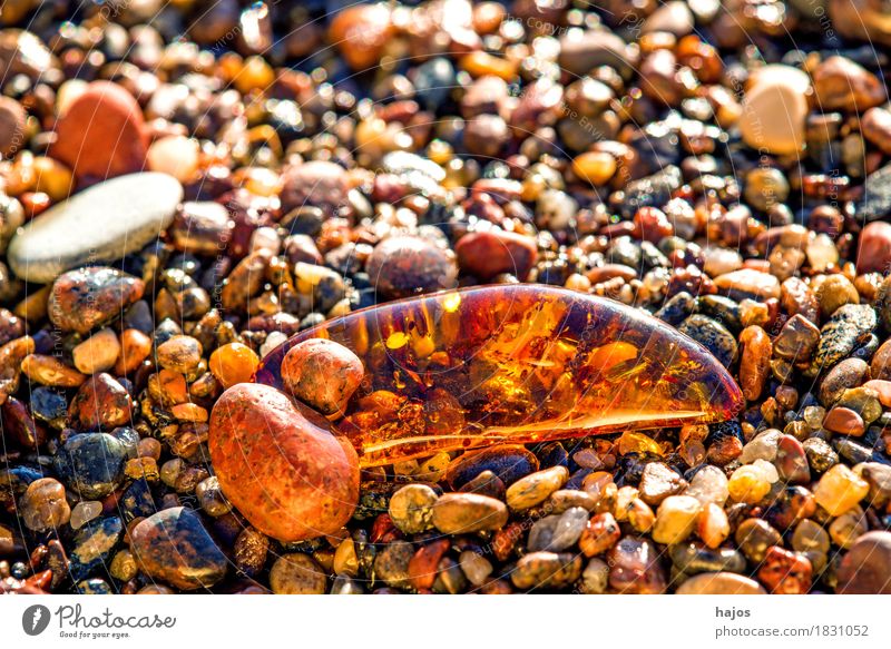 Bernstein am Ostseestrand Alternativmedizin Medikament Strand Stein alt leuchten gelb baltisch Kies Sandstrand Baumharz strahlend Edelstein Halbedelstein