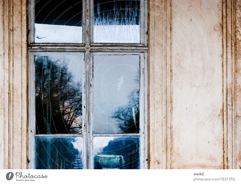 Uhyst Umwelt Pflanze Himmel Schönes Wetter Baum Lausitz Sachsen Deutschland Burg oder Schloss Mauer Wand Fassade Fenster Fensterscheibe Fensterrahmen Holz Glas