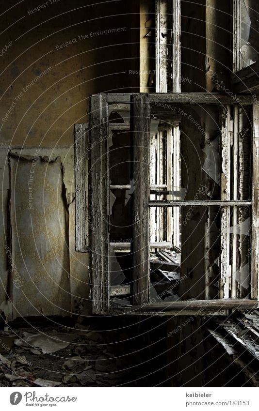 Richtiges Lüften schützt vor Schimmelbildung Bitterfeld Haus Ruine Bauwerk Gebäude Architektur Mauer Wand Fenster Holz alt dreckig dunkel kaputt gelb grau