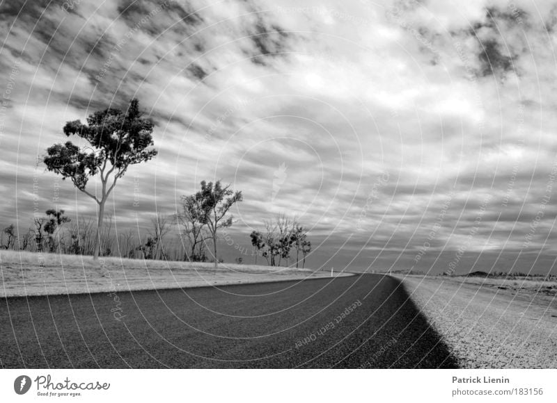 lonesome road Umwelt Luft Himmel Wolken Wärme Baum Autofahren Straße Fernweh Angst Australien Einsamkeit Ferien & Urlaub & Reisen trocken Freiheit Asphalt