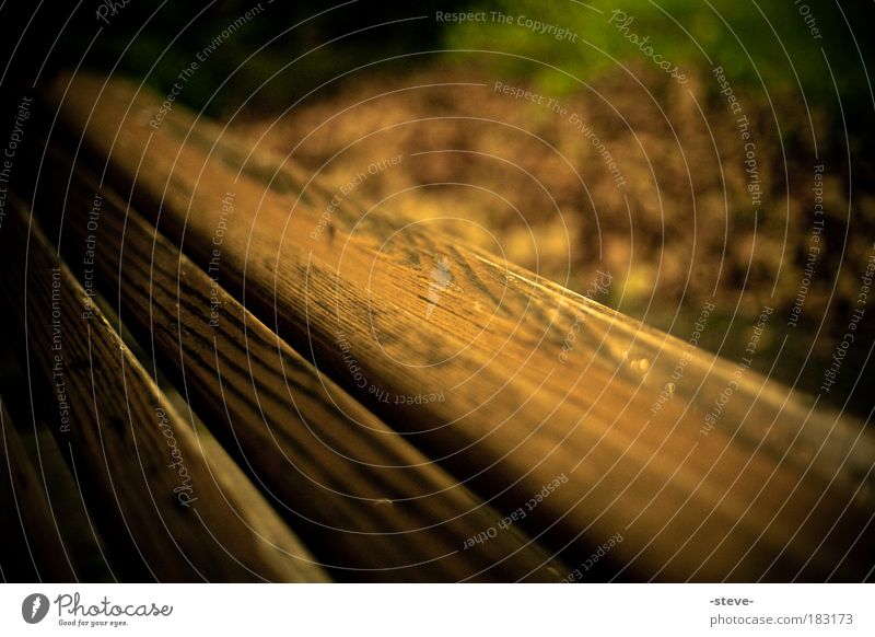 holzig Farbfoto Außenaufnahme Nahaufnahme Detailaufnahme Dämmerung Schwache Tiefenschärfe Holz dunkel braun Bank Parkbank Blatt Herbst