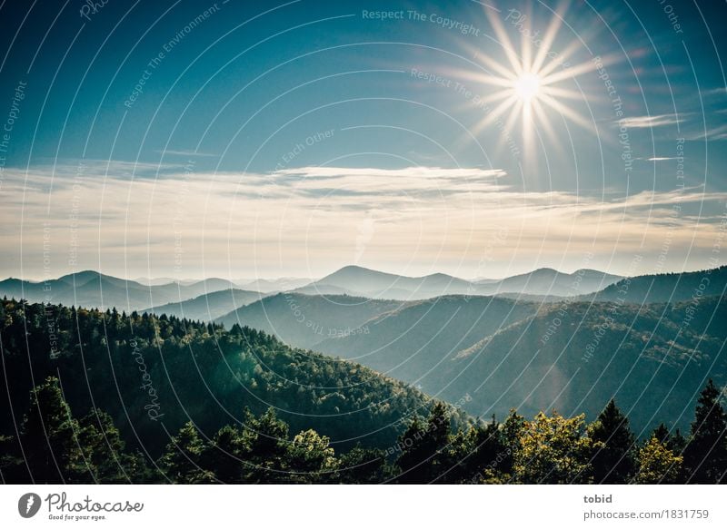 Sonnenschein Natur Landschaft Pflanze Himmel Wolken Horizont Schönes Wetter Wald Hügel Berge u. Gebirge fantastisch frei Freundlichkeit Unendlichkeit Ferne