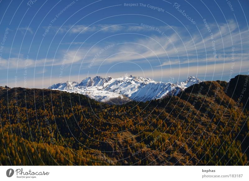 Rocky Mountains? Farbfoto Außenaufnahme Menschenleer Textfreiraum oben Textfreiraum unten Tag Umwelt Natur Landschaft Pflanze Luft Himmel Wolken Herbst Wetter