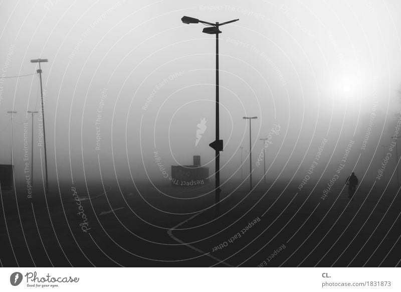 stille straßen Mensch 1 Sonne Herbst Wetter Nebel Verkehr Verkehrswege Fahrradfahren Wege & Pfade dunkel kalt Einsamkeit Straßenbeleuchtung Parkplatz
