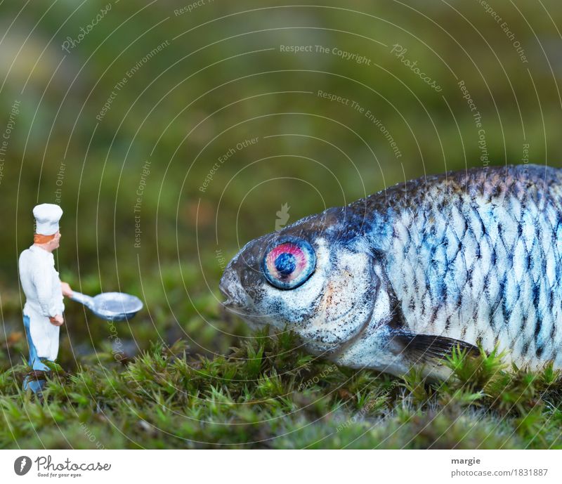 Miniwelten - Ab, in die Pfanne! II Lebensmittel Fisch Ernährung Mittagessen Festessen Bioprodukte Beruf Koch Küche Mensch maskulin Mann Erwachsene 1 Tier