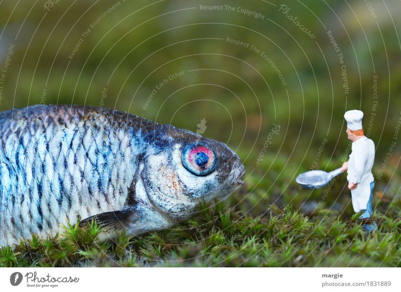 Miniwelten - Ab, in die Pfanne! Lebensmittel Fisch Bioprodukte Koch Arbeitsplatz Küche Gastronomie Mensch maskulin Mann Erwachsene 1 Tier Nutztier Wildtier blau