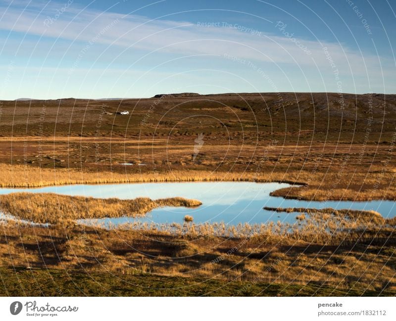 wir sind nicht allein Natur Landschaft Urelemente Erde Wasser Himmel Herbst Schönes Wetter PKW schön Leben träumen Norwegen Fjäll weiß Herbstfärbung nordisch