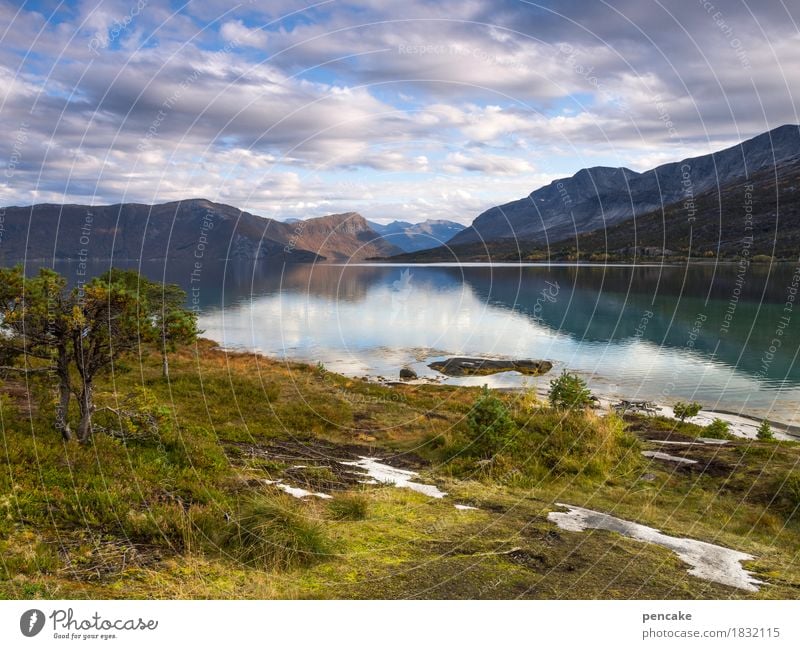 this land is my land Natur Landschaft Urelemente Erde Wasser Himmel Herbst Schönes Wetter Baum Fjord schön Frieden Idylle unschuldig Norwegen Norwegenurlaub