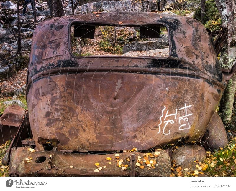 R.I.P. Natur Herbst Wald Fahrzeug PKW Oldtimer Schriftzeichen authentisch historisch kaputt Originalität trashig ästhetisch bizarr Nostalgie Reichtum