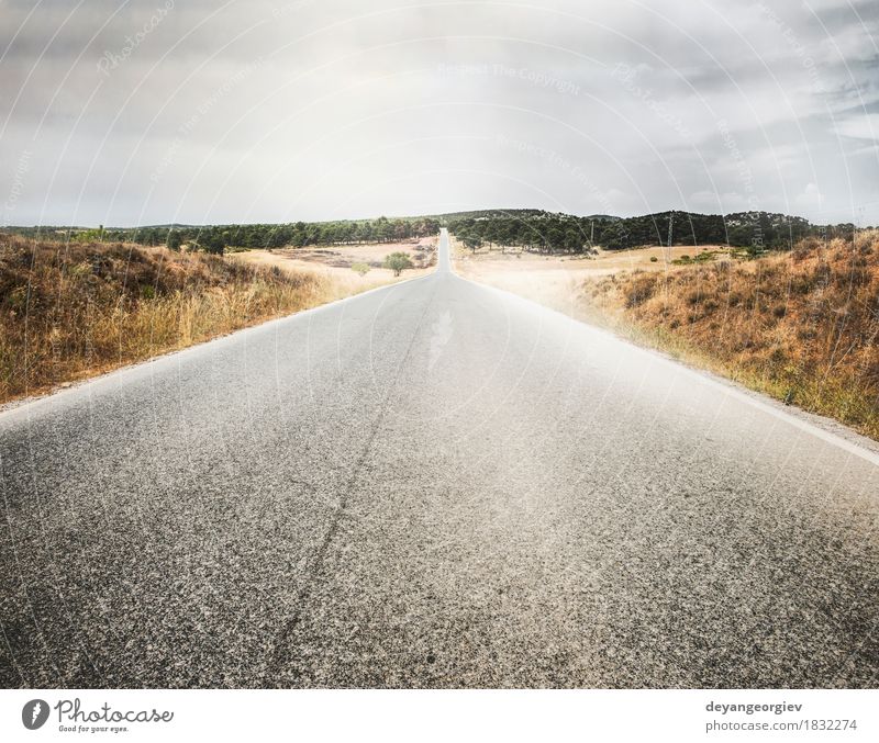 Straße und dramatischer bewölkter Himmel Ferien & Urlaub & Reisen Ausflug Freiheit Sommer Natur Landschaft Horizont Gras Wiese Stadt Verkehr Autobahn