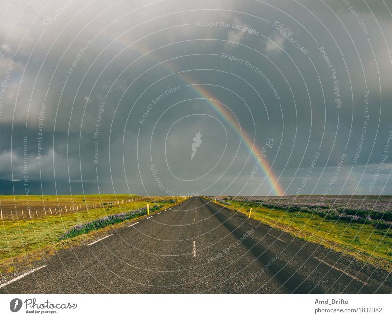 Straße und Regenbogen in Island Ferien & Urlaub & Reisen Tourismus Ausflug Abenteuer Ferne Freiheit Umwelt Landschaft Pflanze Luft Himmel Wolken Gewitterwolken