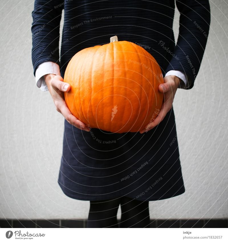 bizarre Zeiten Kürbiszeit Lifestyle Freizeit & Hobby Halloween Körper 1 Mensch festhalten stehen tragen groß orange schwer haltend Farbfoto Außenaufnahme