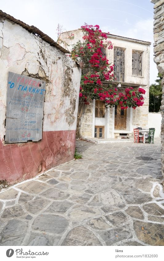 Taverna Ferien & Urlaub & Reisen Tourismus Häusliches Leben Wohnung Haus Stuhl Tisch Kleinstadt Altstadt Mauer Wand Wege & Pfade einfach Wandel & Veränderung