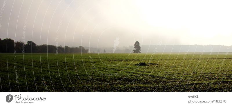 Harzvorland Farbfoto Außenaufnahme Menschenleer Textfreiraum links Textfreiraum oben Textfreiraum unten Morgen Morgendämmerung Licht Schatten Kontrast