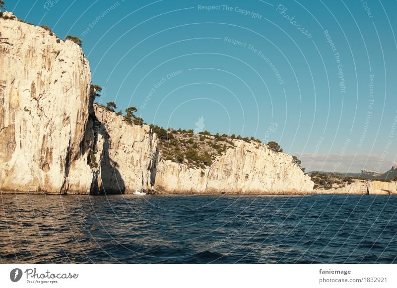 Calanques Umwelt Natur Schwimmen & Baden Calanque d'en Vau Cassis Mittelmeer mediterran Südfrankreich Frankreich Kalkstein Felsküste Felsen Felswand Pinie Wärme