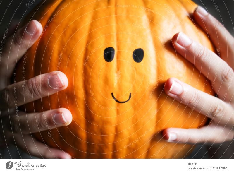 Kürbiskopf Kürbiszeit Ernährung Lifestyle Freizeit & Hobby Erntedankfest Halloween Kindheit Jugendliche Leben Hand Finger 1 Mensch 8-13 Jahre 13-18 Jahre