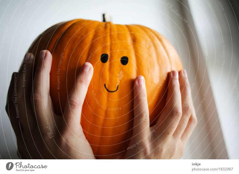 Kürbi träumt vom 31.10. Kürbis Kürbiszeit Freude Freizeit & Hobby Erntedankfest Halloween Mädchen Junge Frau Jugendliche Erwachsene Kindheit Leben Gesicht Hand