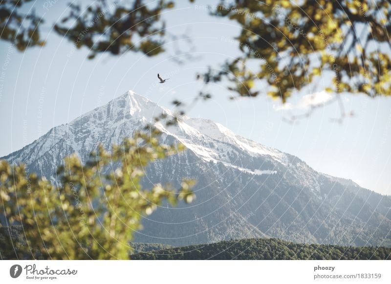 Niesen Landschaft Himmel Berge u. Gebirge Horizont Natur Umwelt Farbfoto Gedeckte Farben Abend