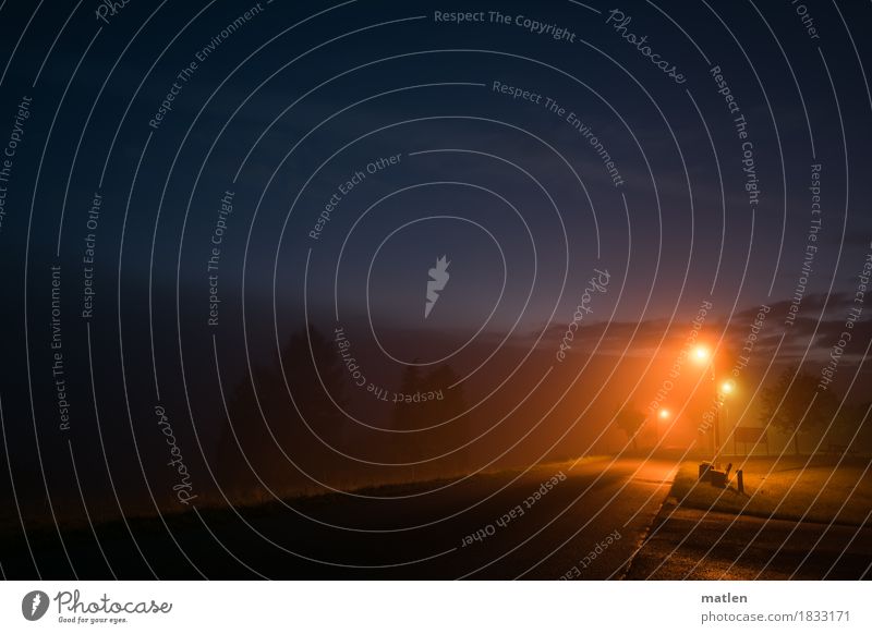 Herbstabend Dorf Straße dunkel blau braun orange Lampion Baum Nebelstimmung ruhig Farbfoto Außenaufnahme Menschenleer Textfreiraum links Textfreiraum rechts
