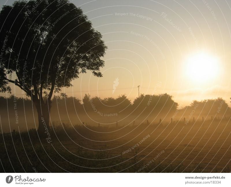 Morgens Nebel Sonnenaufgang Feld Morgendämmerung marschieren