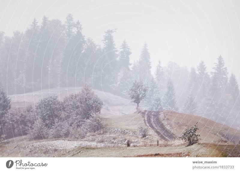 Erster Schnee im Herbst. Schneefälle in Bergen Ferien & Urlaub & Reisen Tourismus Freiheit Winter Berge u. Gebirge Umwelt Natur Landschaft Wetter Wind