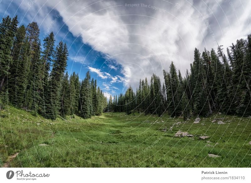 Out in the Woods schön Ferien & Urlaub & Reisen Abenteuer Sommer Berge u. Gebirge wandern Umwelt Natur Landschaft Himmel Wolken Klima Klimawandel Wetter