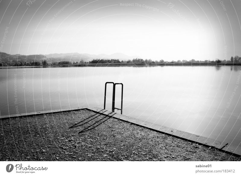 Seelandschaft Schwarzweißfoto Außenaufnahme Textfreiraum oben Tag Licht Schatten Kontrast Sonnenlicht Totale Umwelt Natur Landschaft Wasser Himmel Herbst