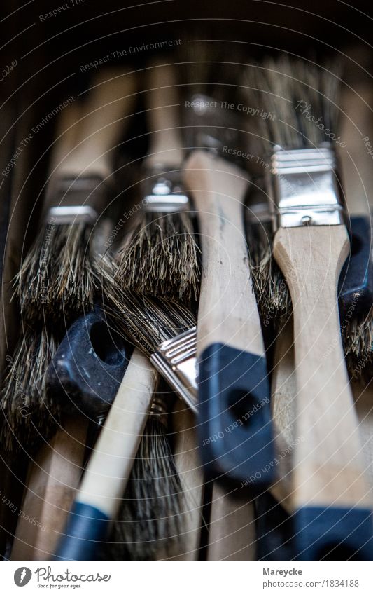 Pinsel Arbeit & Erwerbstätigkeit Handwerker Anstreicher Werkzeug Bürste natürlich Werkstatt Farbfoto Innenaufnahme