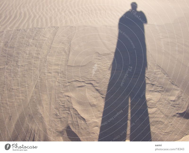 Mr. Sandman Strand Stranddüne Schatten Sahara Wüste Silhoutte