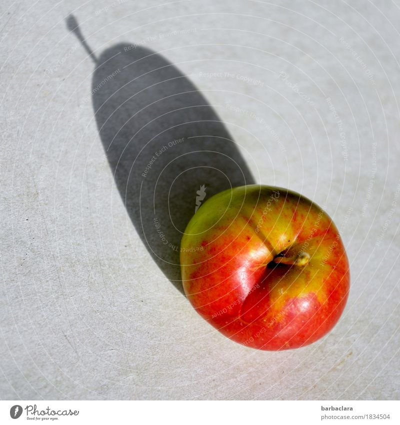 süß | paradiesisch Frucht Apfel Gesunde Ernährung Tisch Sonnenlicht Herbst saftig gelb grau rot Gefühle Vorfreude genießen Gesundheit Natur Farbfoto