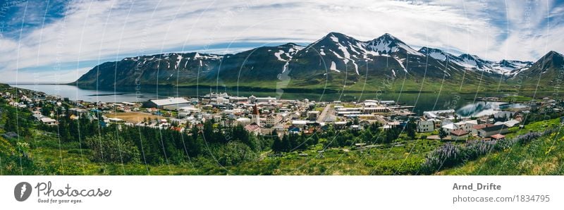 Island - Siglufjörður Ferien & Urlaub & Reisen Tourismus Ausflug Abenteuer Ferne Freiheit Sightseeing Sommer Meer Insel Wellen Umwelt Landschaft Pflanze Himmel