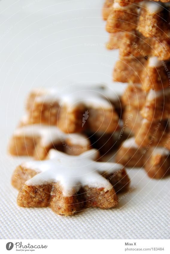 Zimtsterne Lebensmittel Teigwaren Backwaren Süßwaren Ernährung klein lecker süß trocken Stern (Symbol) Plätzchen Weihnachten & Advent Weihnachtsdekoration