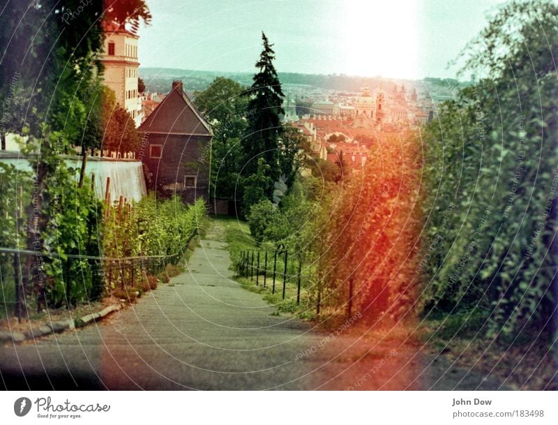 Praha Experiment Menschenleer Sightseeing Städtereise Klimawandel Pflanze Baum Blume Gras Sträucher Stadt Altstadt Haus Bauwerk Mauer Wand Unendlichkeit Neugier