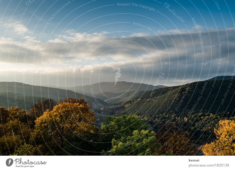 Herbstliche Pfalz Wohlgefühl Erholung ruhig Ausflug Abenteuer Ferne Freiheit Natur Landschaft Pflanze Himmel Wolken Sonnenaufgang Sonnenuntergang Schönes Wetter