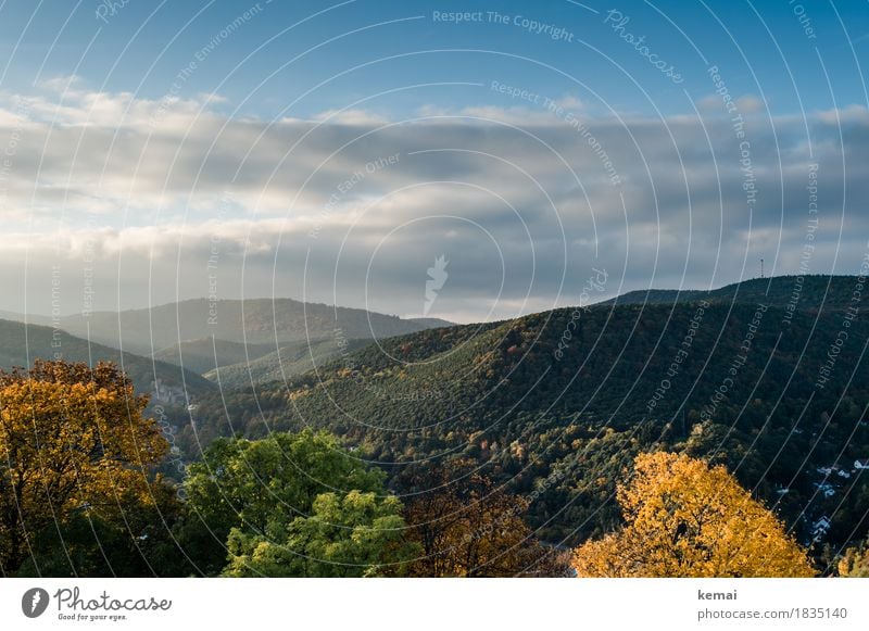 Pfälzerwald in wunderschön Ferien & Urlaub & Reisen Tourismus Ausflug Abenteuer Ferne Freiheit Berge u. Gebirge wandern Umwelt Natur Landschaft Pflanze Himmel