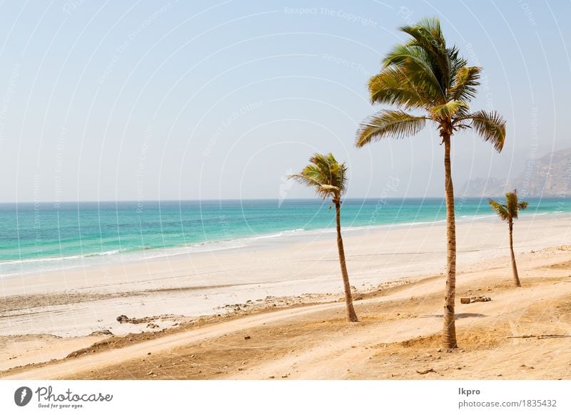 und Berg in oman arabischem Meer der Hügel Ferien & Urlaub & Reisen Tourismus Sommer Sonne Strand Kultur Umwelt Natur Landschaft Pflanze Sand Himmel Horizont